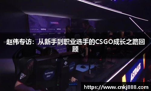 易倍emc官网