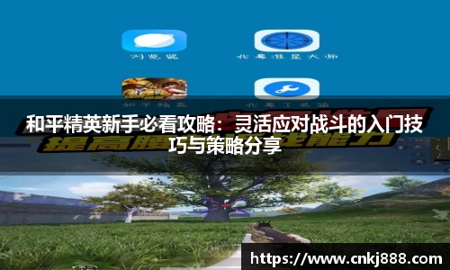 易倍emc官网